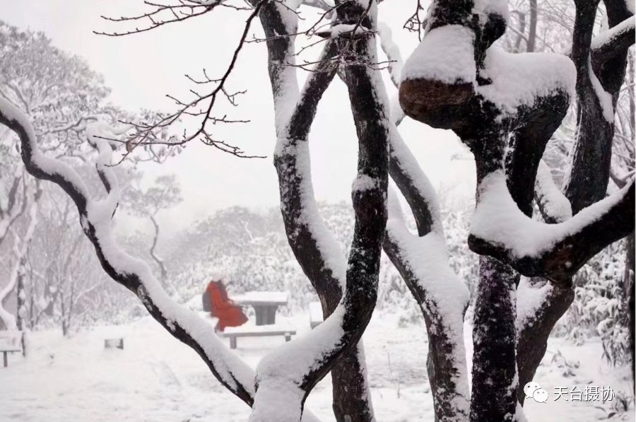 许琼|快看,又下雪了!