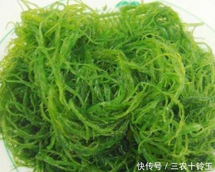 以下几种野菜,祛毒清血管,称为降血压“神器”,城里人都当宝