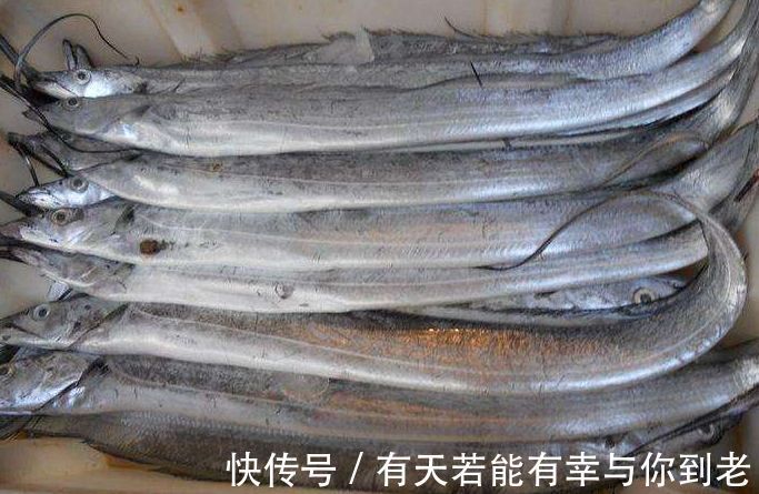 带鱼|煎带鱼时，别再裹面糊了，这么做才是正确方法，外酥里嫩