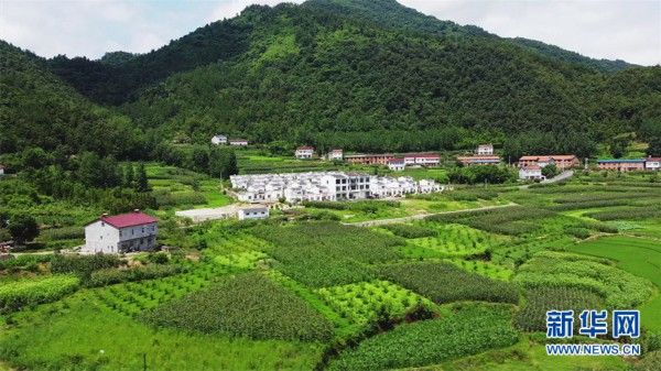 大山深处官坊村，有诗有远方|走进乡村看小康| 官坊村