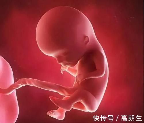 流产|怀孕1~10个月,胎儿发育变化全过程!想“修炼成人”还得过四关