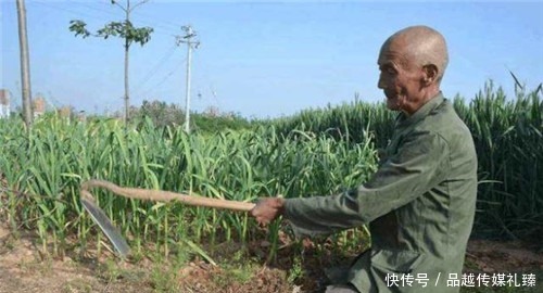 改写|老农挖出“绿色人脸”,还原后不敢置信,专家:蜀国历史要被改写