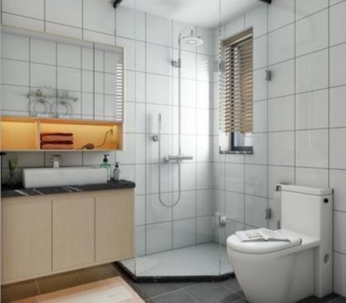 绿色植物|卫生间什么东西都可以放,唯独这4样万万不要放!细菌暴涨臭烘烘