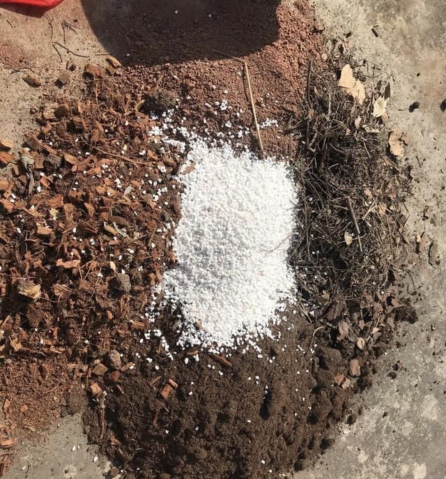 养花“杀手”都有的5个毛病,难怪买花“养1盆死1盆”,要改正了