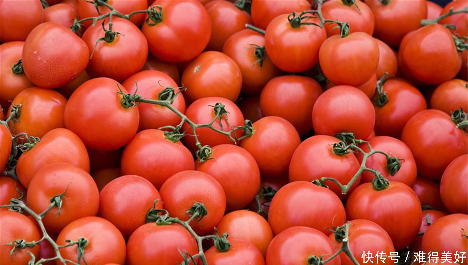 每天一个西红柿，坚持一段时间，6个好处也许会不请自来