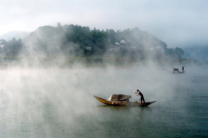 倚树独高歌|28首浣溪沙:落日迟迟风渐起，池塘寂寂影婆娑，闲蝉倚树独高歌