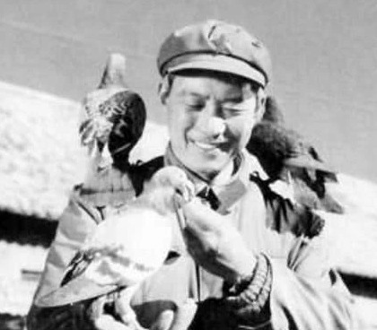 抗日战争|抗日战争中,一旦发现这种动物,如果不杀死可能会全军覆没