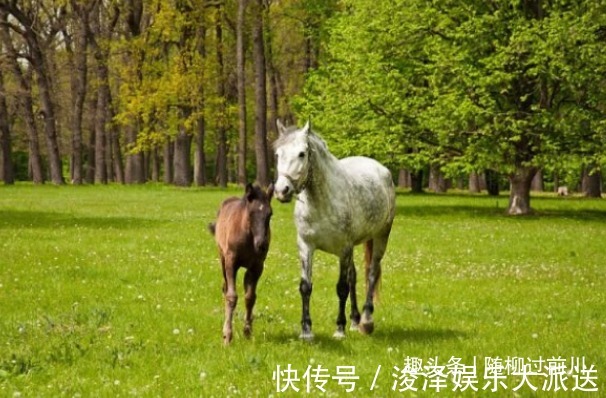 生财之道|属马人明后两天不要去这些地方，老人说的话不假！