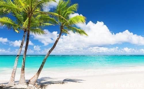  人间|作文妙招：从物的视角折射人间精彩（歌诀+例文）