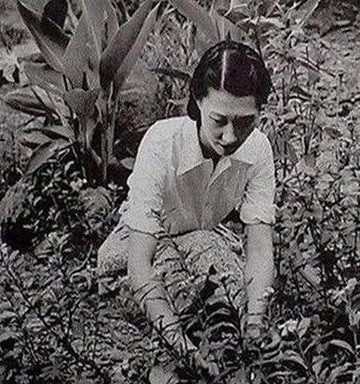 小姐|迷倒少帅张学良的“赵四小姐”到底有多美