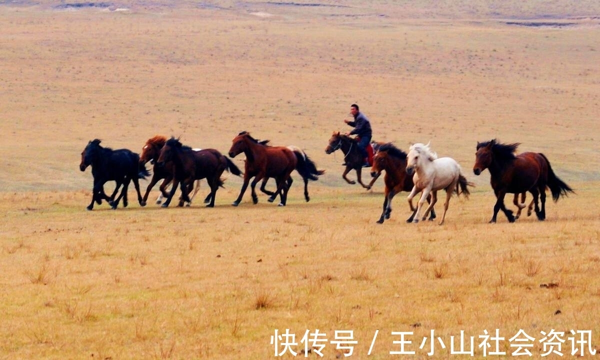 胡地@8位诗人写的8首经典《凉州词》,有多少人只读过王翰和王之涣的?