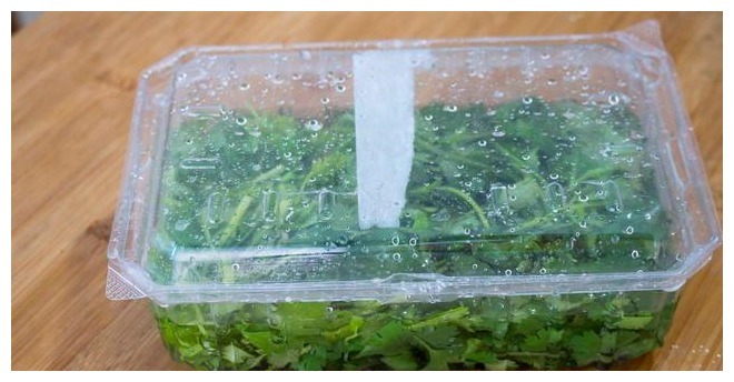 香菜保存有诀窍，3种储存方法，随吃随取，不发黄不腐烂，去试试
