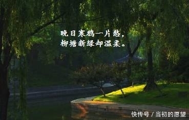 辛弃疾的一首鹧鸪天情深意浓，不仅文笔细腻，而且辞简理博