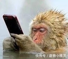 布莱恩！诚者，天之道也。诚之者，人之道也！