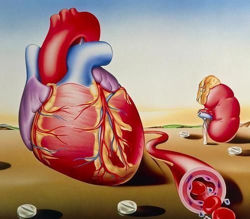 人体健康|散步也能致命?散步的好处和坏处,为了家人健康早了解