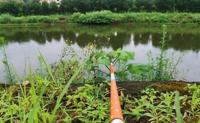 钓什么样的鱼,用什么样的鱼竿!许多人颠倒了,难怪烧钱