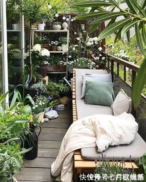 花盆|这样的阳台,那院子我也不换,美得太过分,今生只做个闲人了!