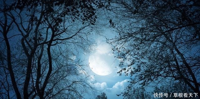  李煜|李煜很冷门的一首小词，用情至深，美得让人黯然神伤，醉了时光！