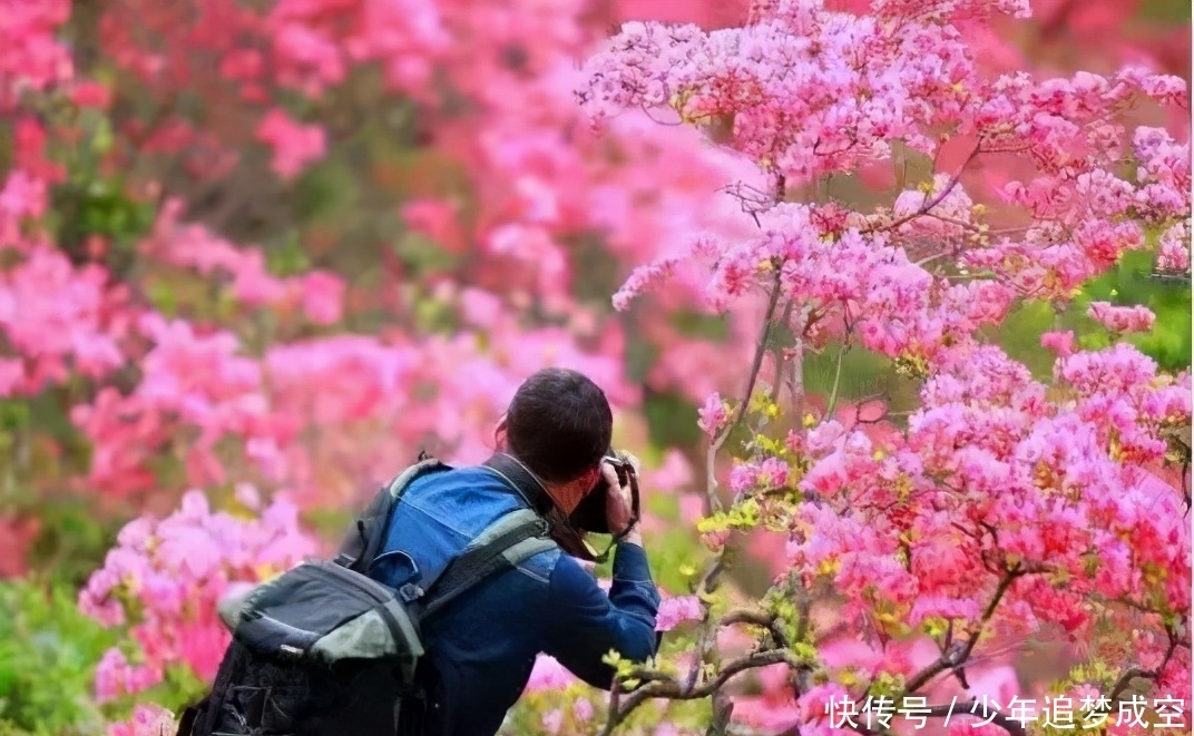 五一桐柏游：山水赏花游乐美食，世外桃源嗨起来