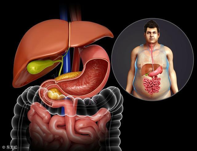 健脾|脾差不给力,看3个地方就知道,中医几个土办法教你健脾祛湿