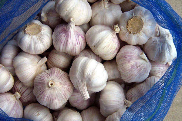 肝病患者|大蒜泡酒，越喝越有！大蒜泡酒的功效，你知道多少有你需要的吗