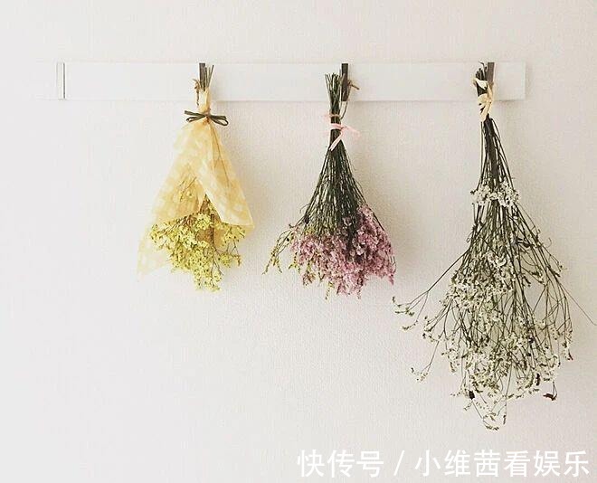 日本|日本小姐姐的“独居之家”，温馨治愈的画风，生活过出了“精致”