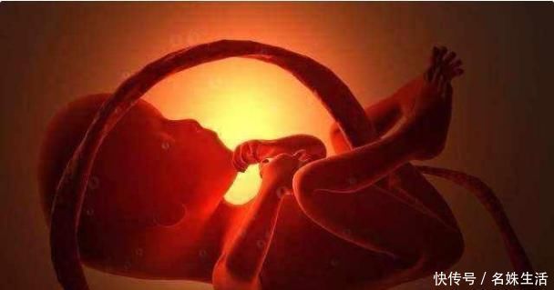 宝妈|胎儿一天中有9成时间在睡觉,其中三个时段特别重要,孕妈别打扰