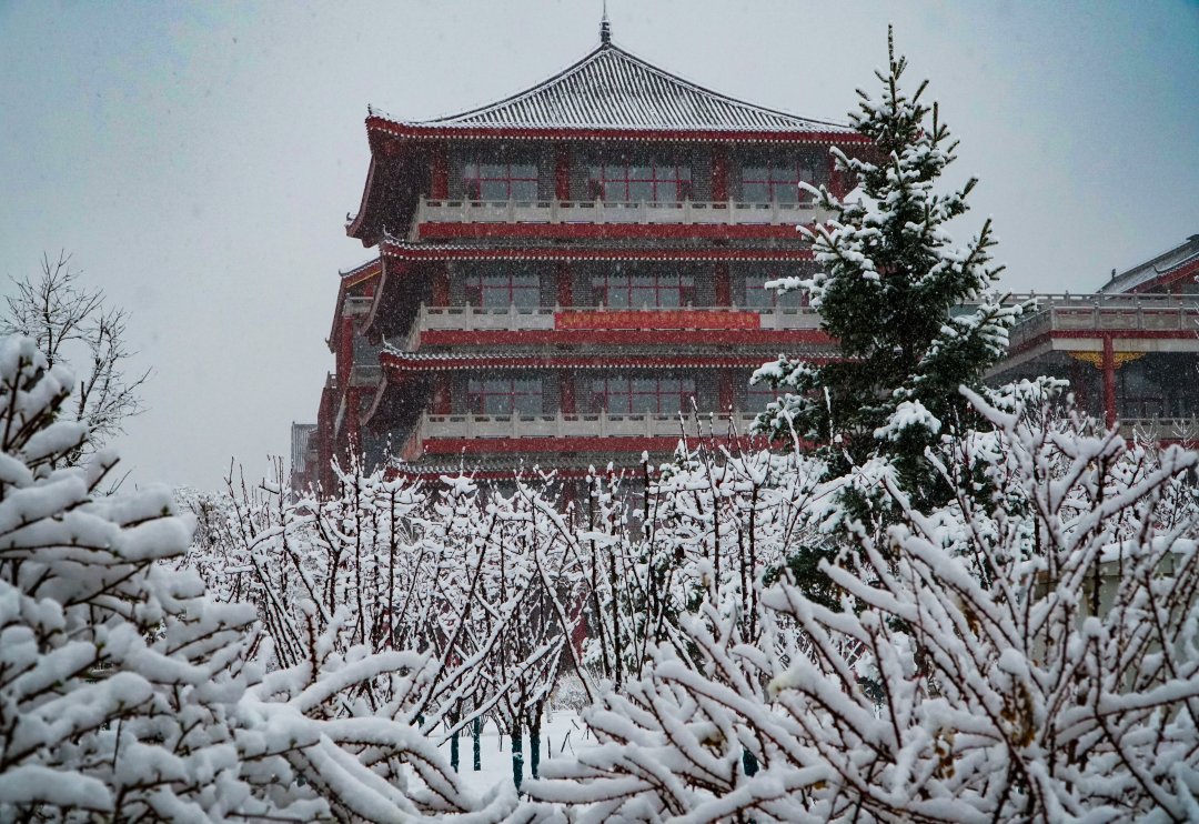 第一场雪|美不胜收！固原迎来今秋第一场雪