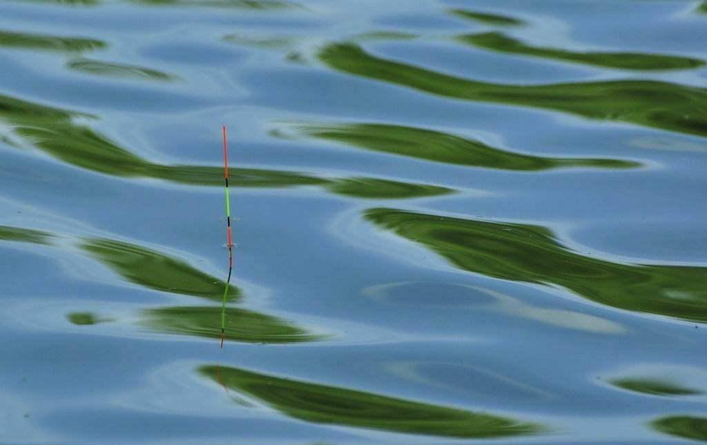 冬钓调漂两个坏习惯,让你的渔获不知不觉少三成