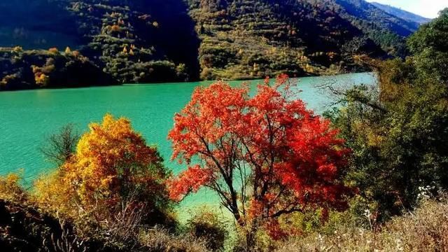 绵阳|四川首个藏羌彝文化旅游走廊联合实验室在平武揭牌成立!5条“撒野”旅游线路!好玩不容错过!