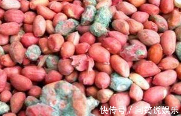 枣子|煮粥时不能放的3种食物,危害家人健康,早知早受益