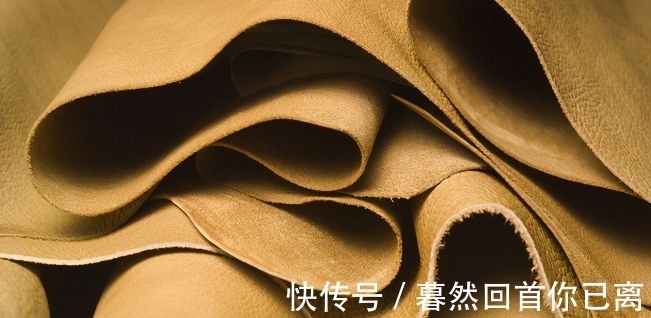 雄性|11个冷知识:或许使用不到,但却使人增长见识的有趣知识