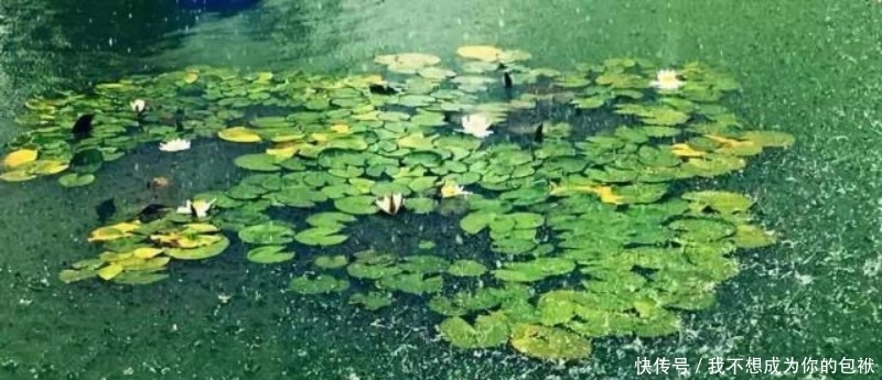  灵活|李商隐的这首《细雨》，写得灵活而新鲜，通篇写雨没有一个雨字！