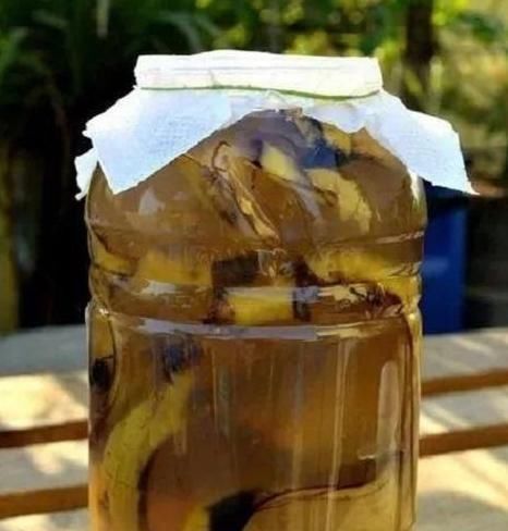 浇花|香蕉皮，作为天然有机肥，“酵一酵”养花，有这5大妙用