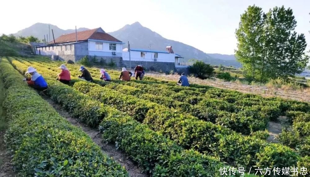 时光|在乳山住民宿，度过幸福无忧的时光～