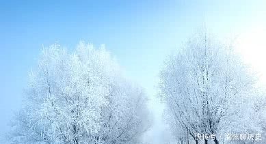 柔情|纳兰性德言浅意深的词作,柔情百转,却将愁绪写到了极致