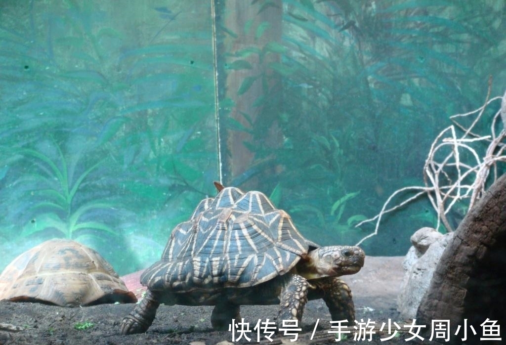 小说$特别冷门的2本武侠小说,几十年前有知音,而今已如云烟散