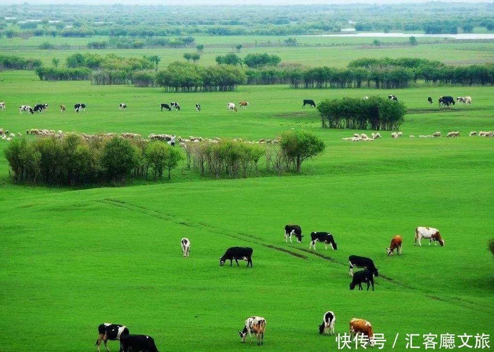 草原|这3个旅行地，今年夏天一定要去自驾一次！