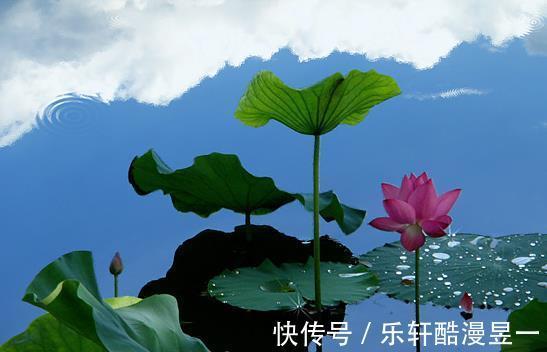 吉星|9月30号开始，4属相吉星照耀，桃花朵朵，生活顺风顺水