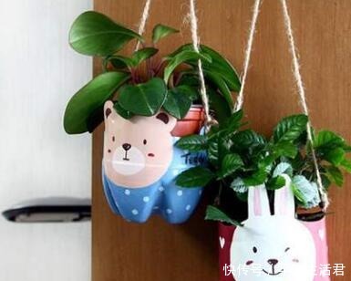 这些破烂不要扔,做成“小花盆”,个性又漂亮,比买的强“百倍”!