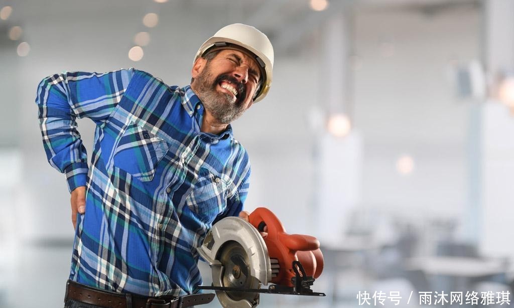 甲鱼|一味中药, 两道美食, 护腰, 补养肾精, 养肝明目