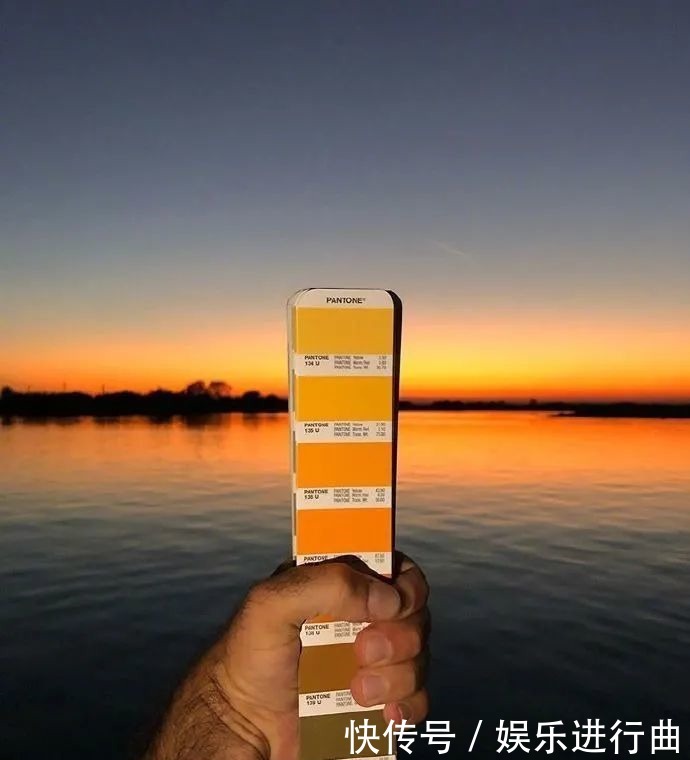 参考|配色参考|INS博主超有趣的自然高级配色!插画设计存起来!