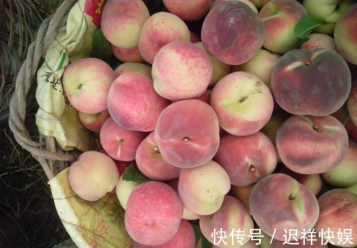 买桃子，不要只会挑大个儿的，学会挑选技巧，桃子又甜又多汁