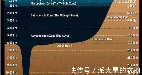 方铅矿|先有鸡还是先有蛋?问题终于被正式解答了告诉你九个有趣的冷知识