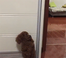 |搞笑GIF:有这样的男朋友,给老娘来一打