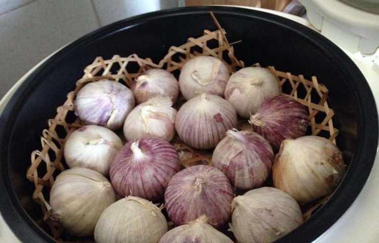 电饭煲|把大蒜扔进电饭煲里，不加一滴水，30天后打开，如果别人给5万元，我就不卖了