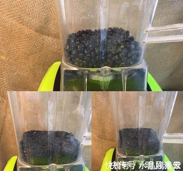 强身健体|天冷了，多吃这“三黑”，不仅头发长得又浓又密，而且气色很好