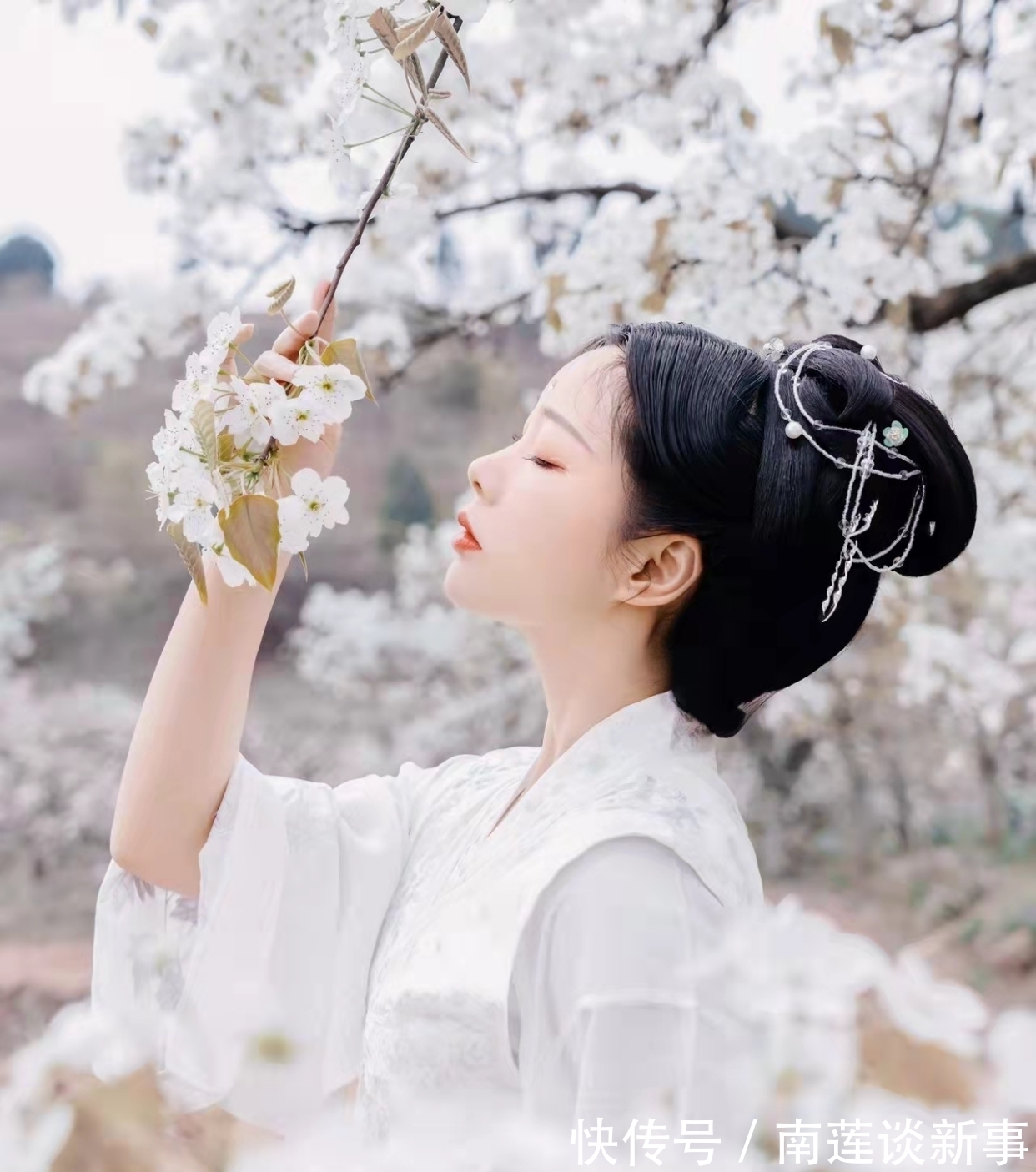 虬枝#七律:谁道衰龄无妙色,东风一夜又迷春