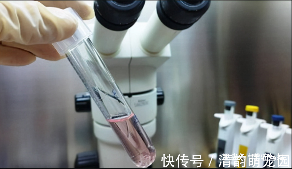 不孕不育|为啥很多人宁愿花10万做试管,也不愿意领养孩子?答案很现实