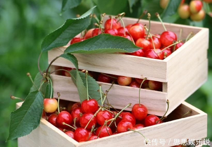 水果|女性朋友若想皮肤好,不妨试试6种水果,让你也能“肤如凝脂“!